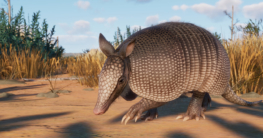 Planet Zoo DLC führt acht neue Arten ein
