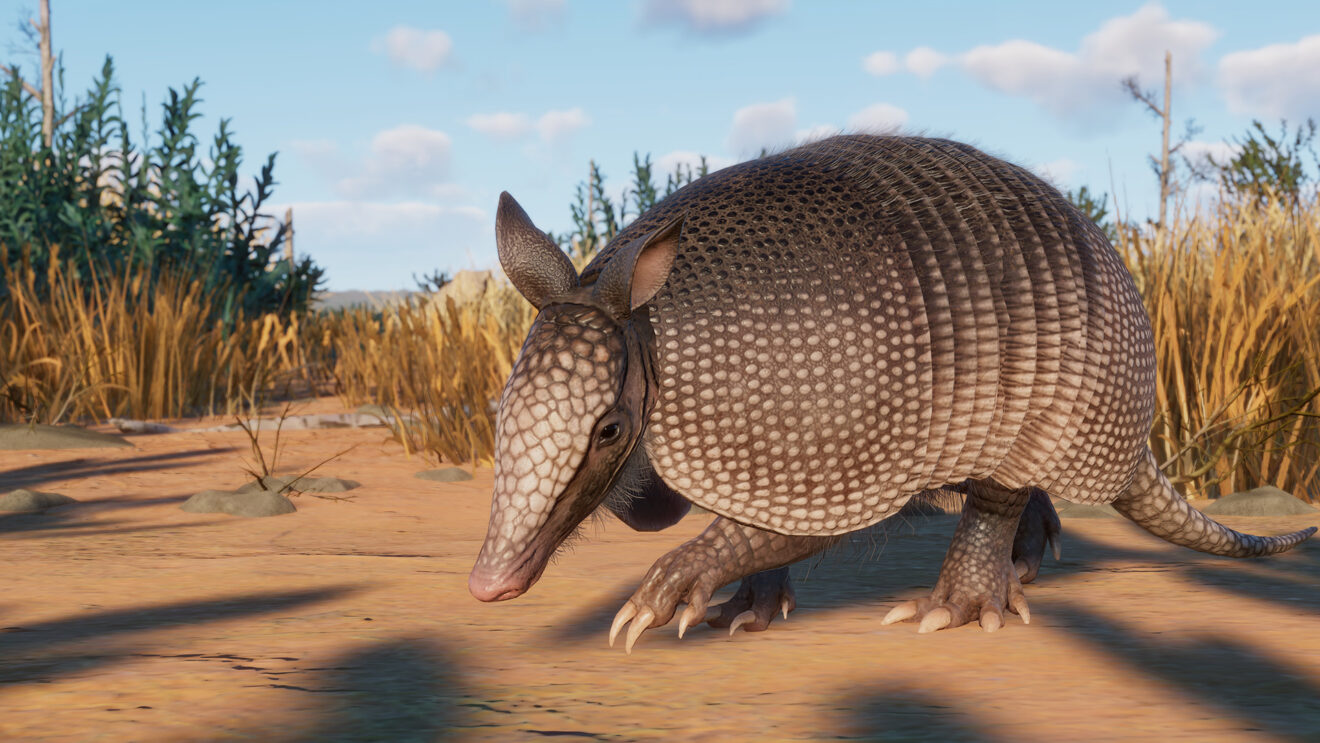 Planet Zoo DLC führt acht neue Arten ein 1 Planet Zoo DLC führt acht neue Arten ein